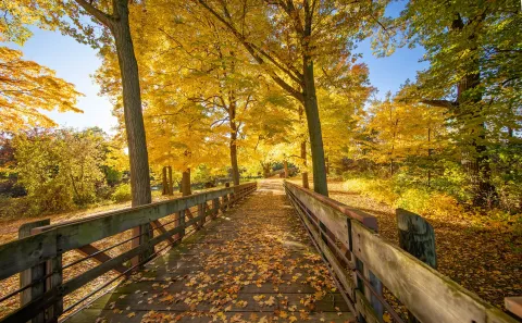 Lansing River Trail during fall