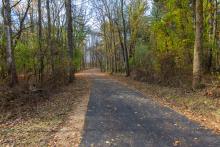 A paved path at Fenner Nature Center