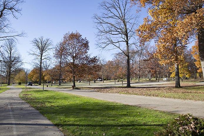 Potter Park Parking Lot